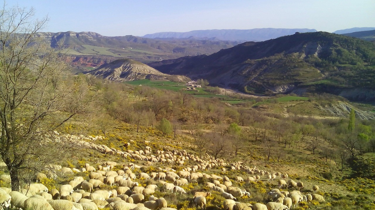 Photo of Others in Sobrecastell