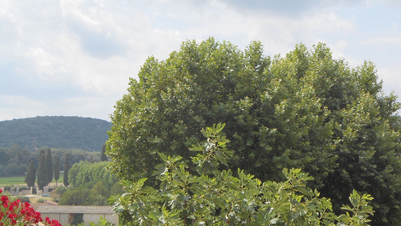 Photo of Outdoor in Gaujac
