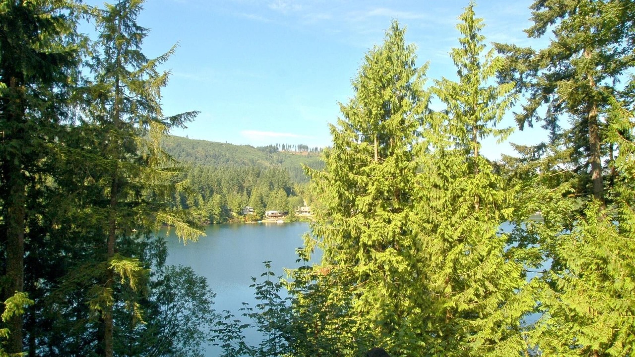 Photo of Others in Maple Falls