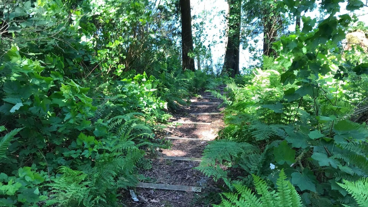 Photo of Outdoor in Maple Falls