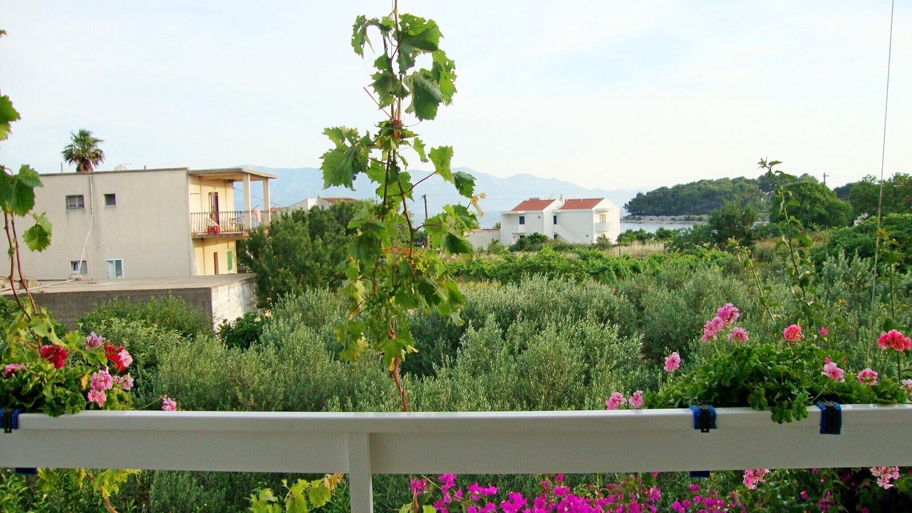 Photo of Outdoor in Sucuraj