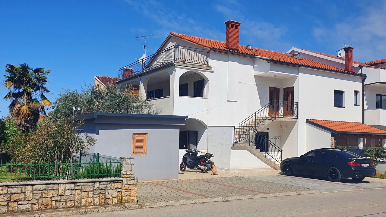 Photo of Outdoor in Spadici