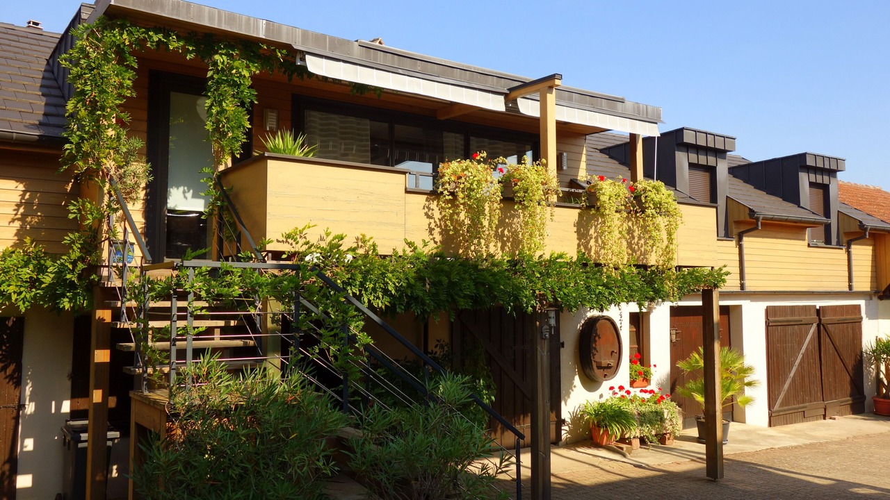 Photo of Outdoor in Mittelwihr