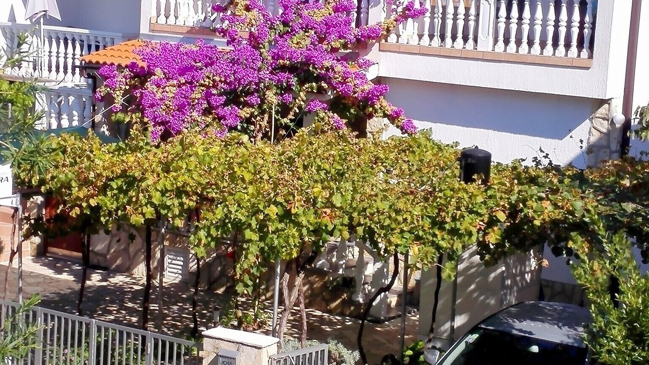 Photo of Outdoor in Nin