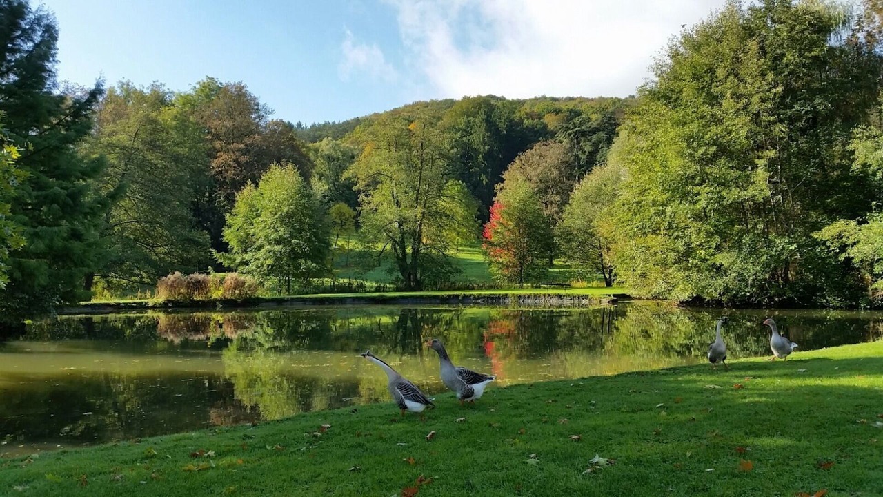 Photo of Others in Barbirey-sur-Ouche