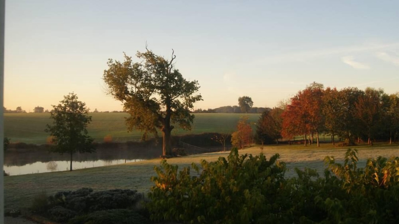 Photo of Others in Saint-Vincent-sur-Graon