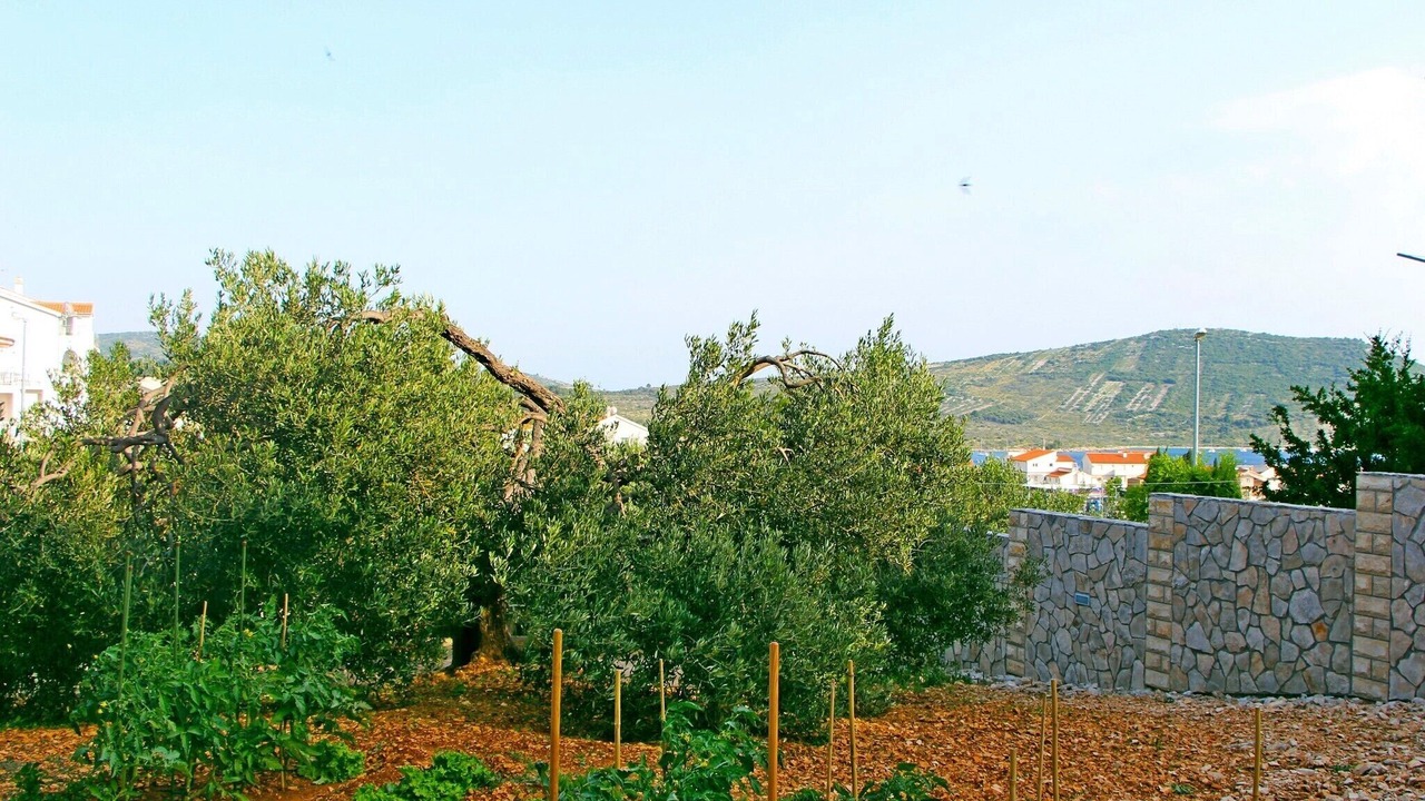 Photo of Outdoor in Primosten