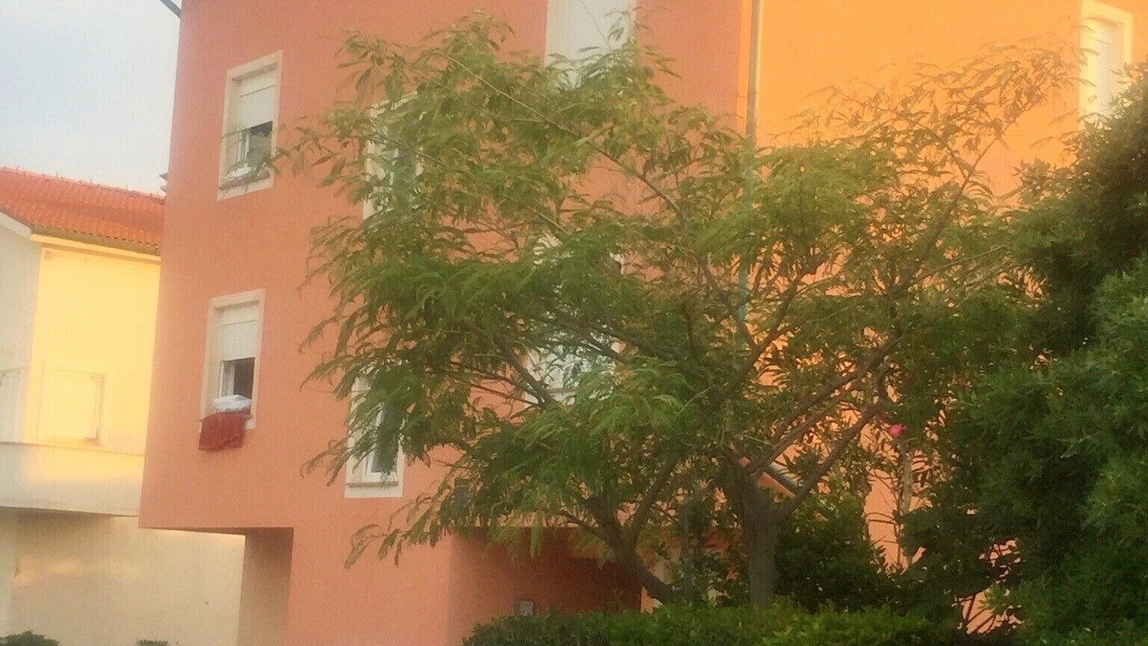 Photo of Outdoor in Povljana