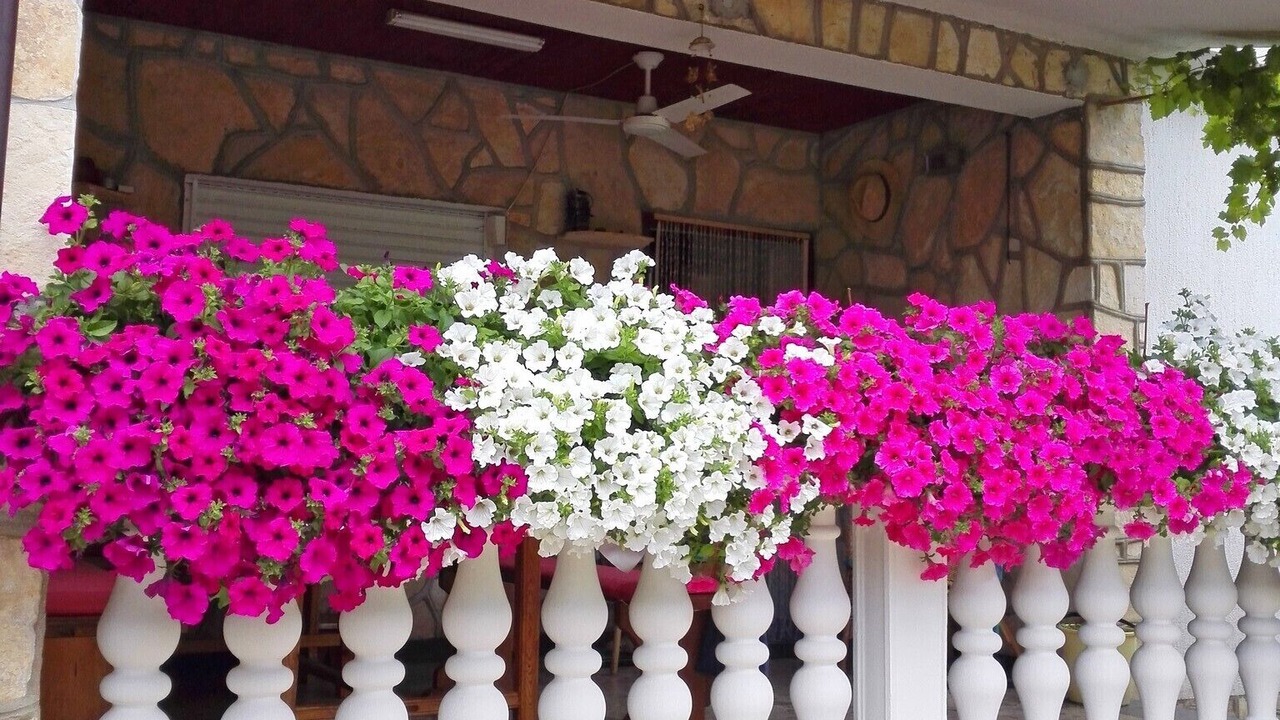 Photo of Outdoor in Nin