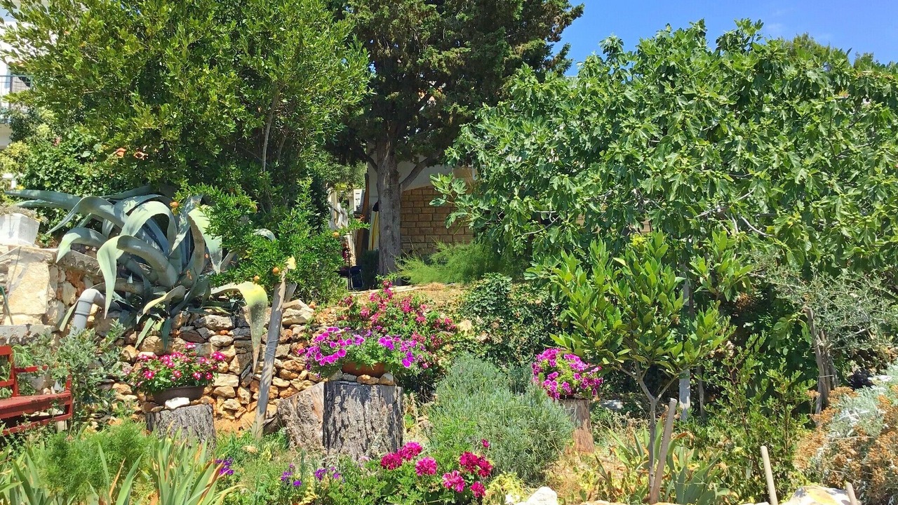 Photo of Outdoor in Susica