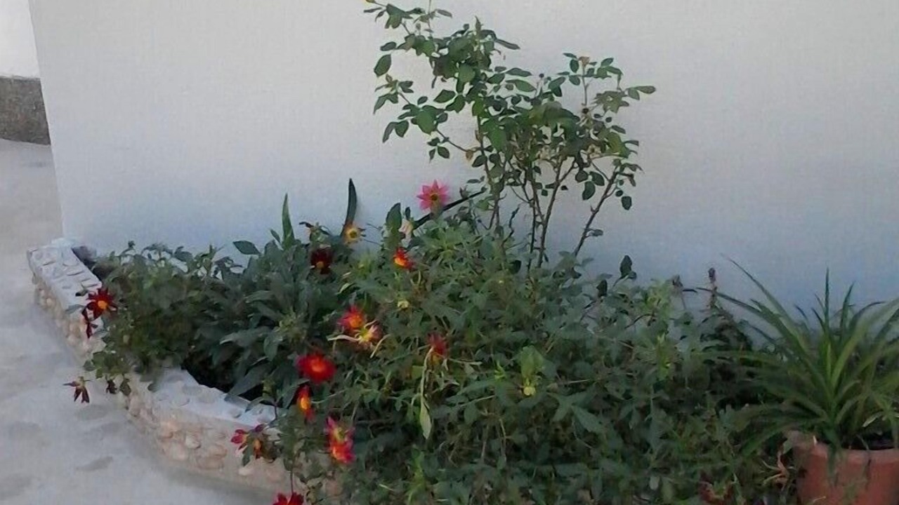 Photo of Outdoor in Vinisce