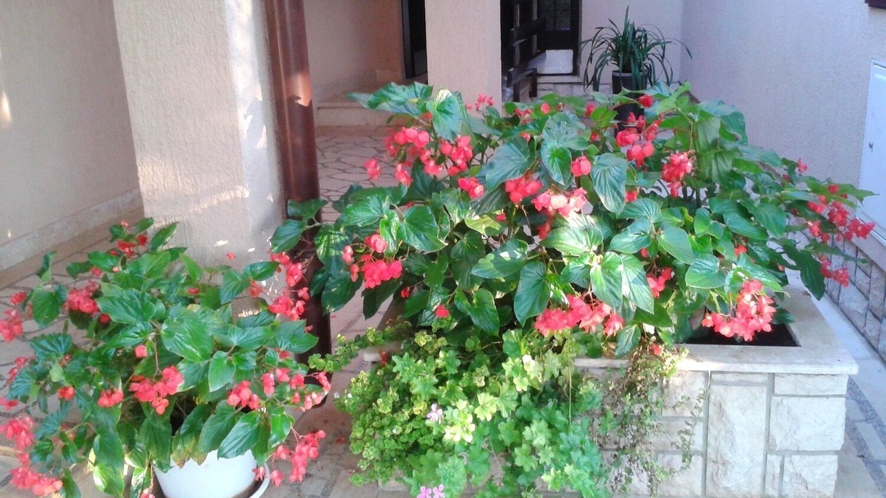 Photo of Outdoor in Valbandon