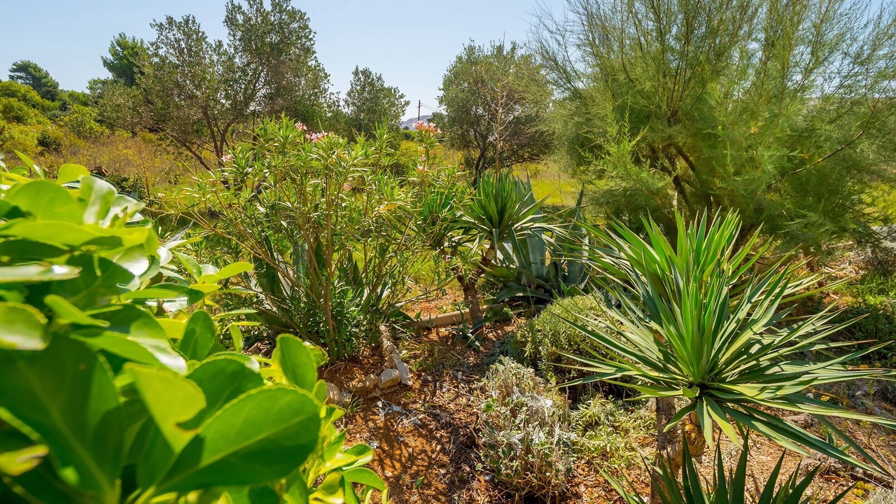 Photo of Outdoor in Barbat na Rabu