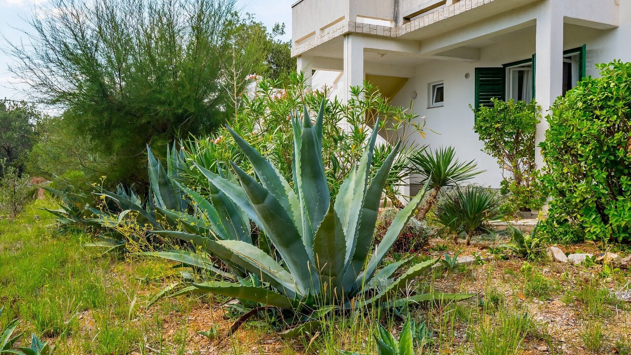 Photo of Outdoor in Barbat na Rabu