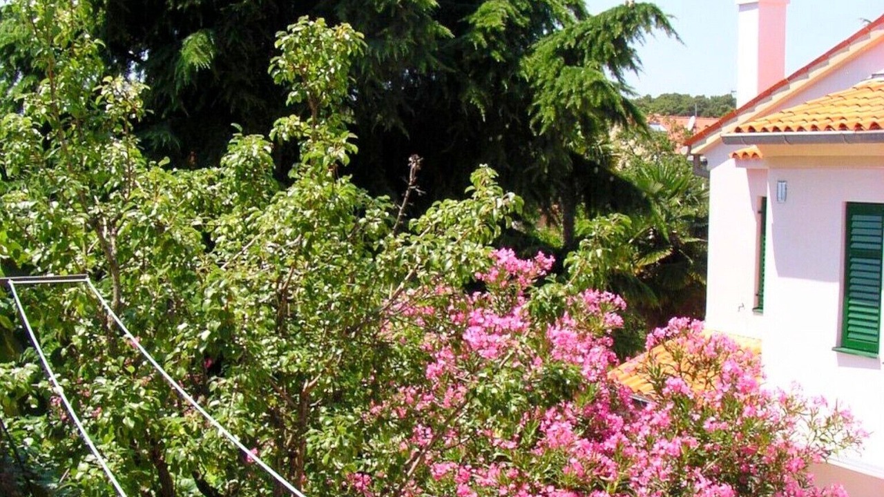Photo of Outdoor in Rovinj