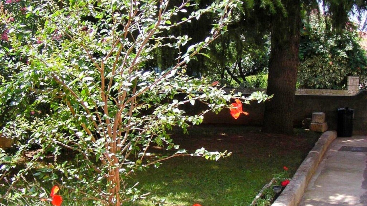 Photo of Outdoor in Rovinj
