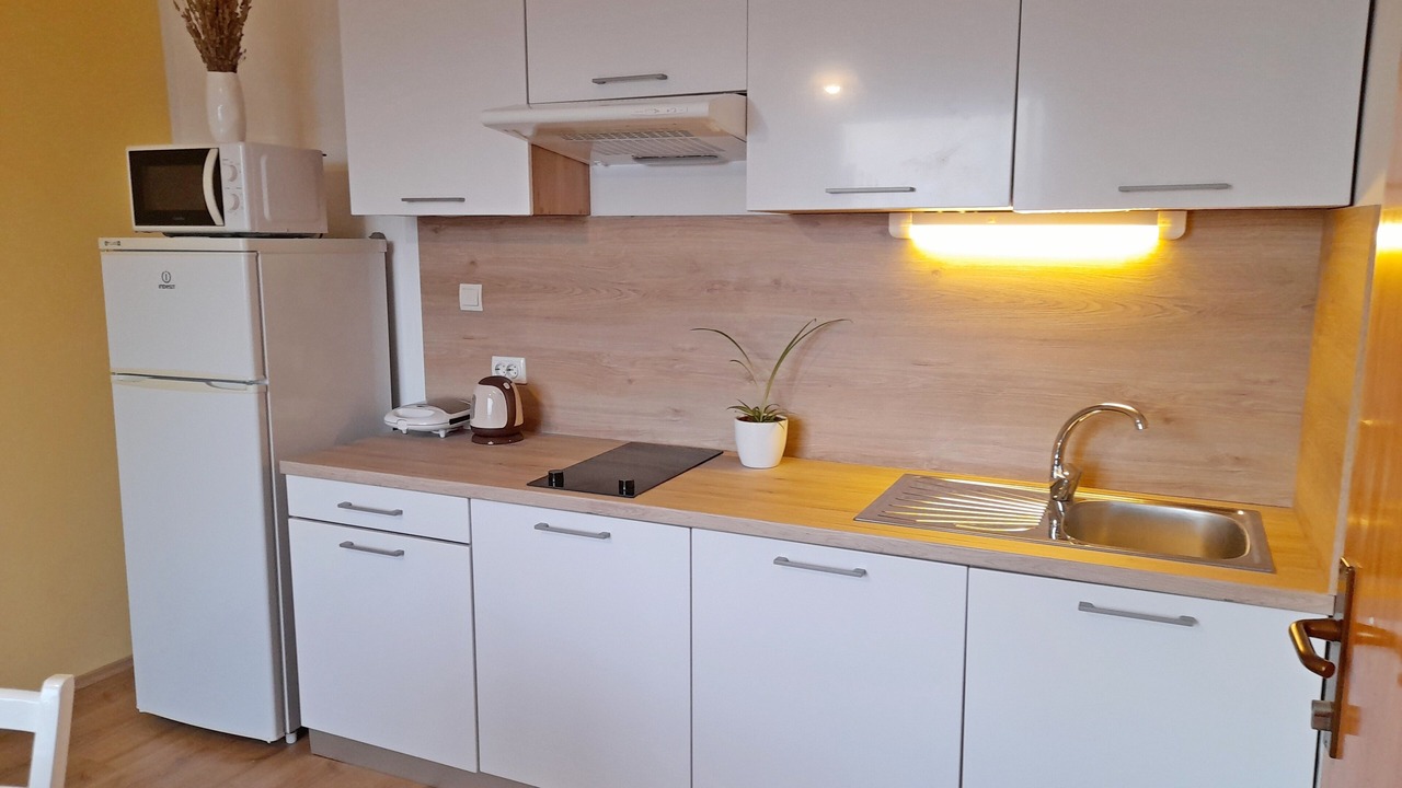 Photo of Kitchen in Zupa dubrovacka