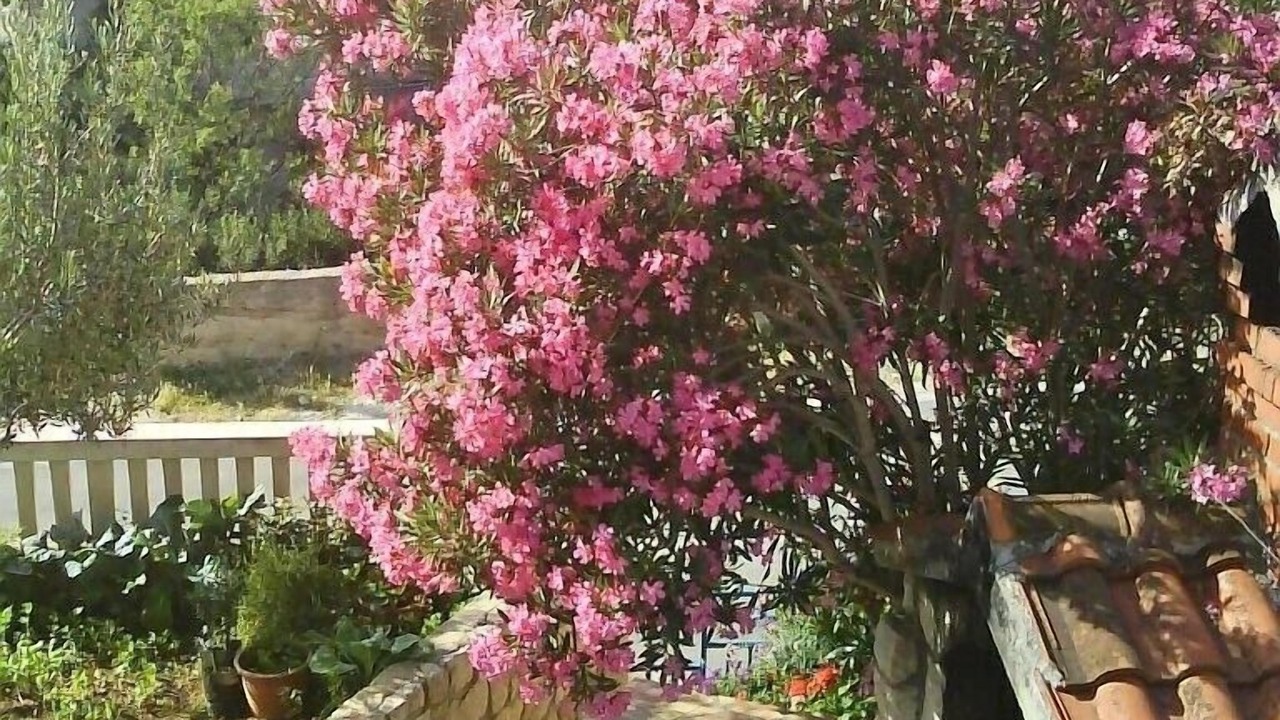Photo of Outdoor in Tijesno