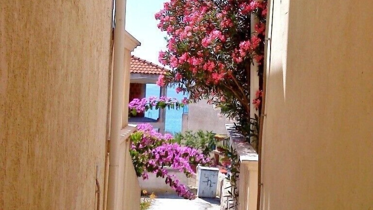 Photo of Outdoor in Tijesno