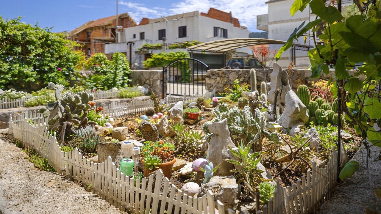 Photo of Outdoor in Stari Grad