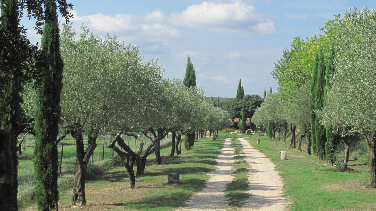 Photo of Outdoor in Sagries