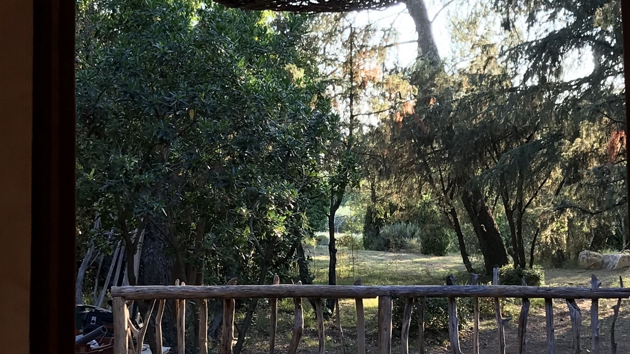 Photo of Outdoor in Sagries