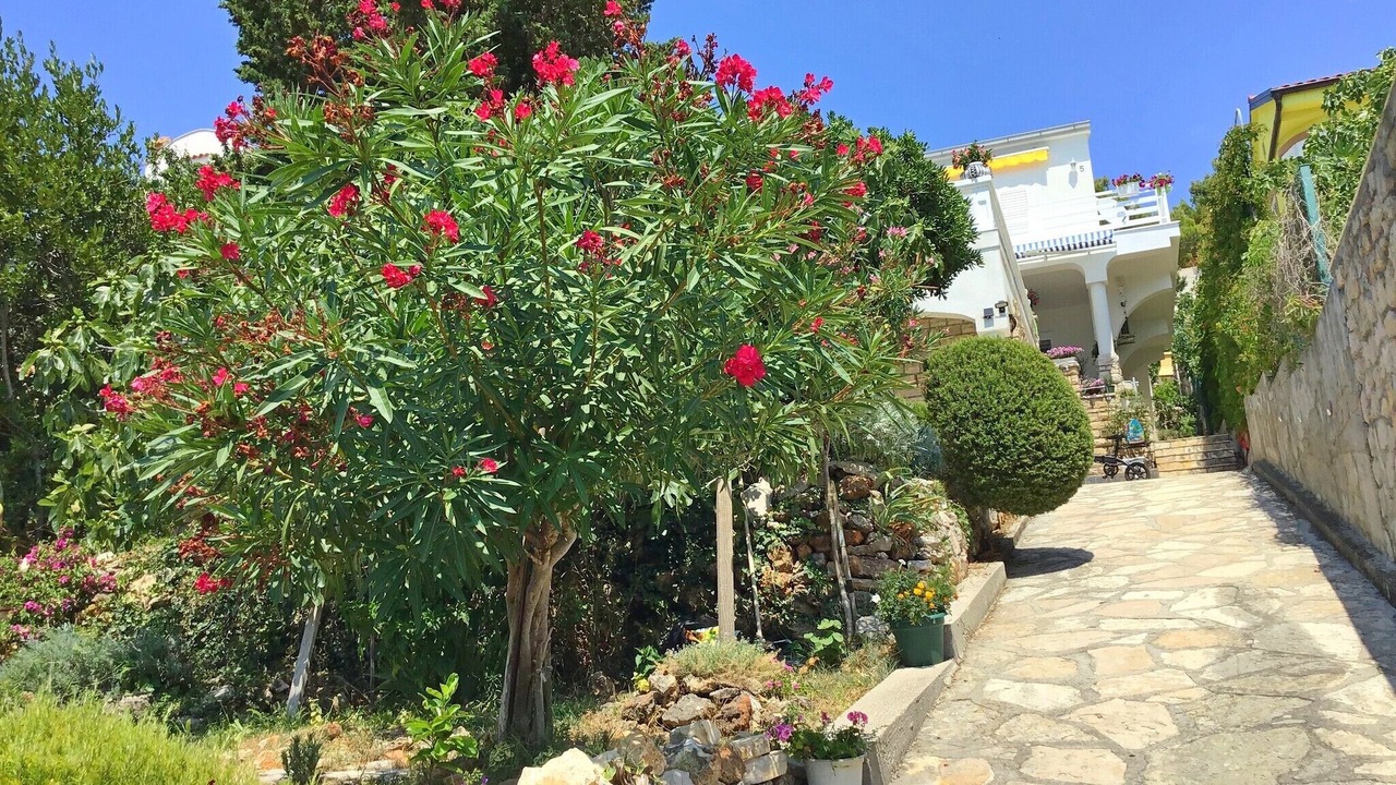Photo of Outdoor in Susica