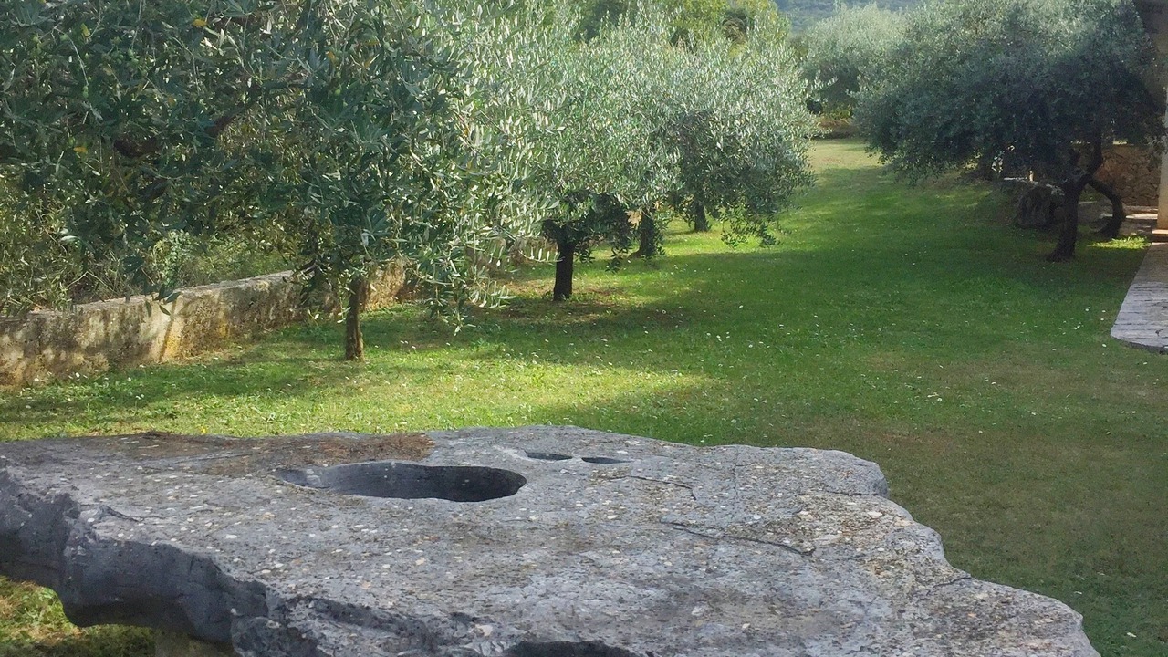 Photo of Outdoor in Island Hvar