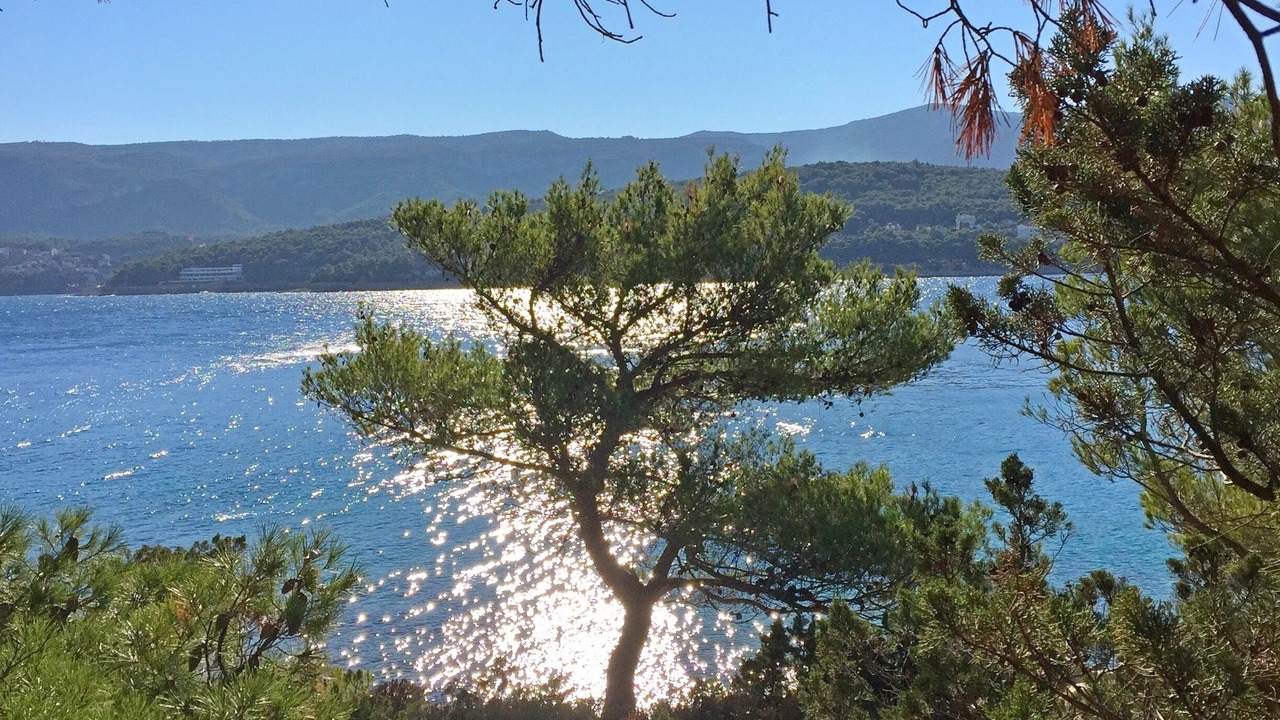 Photo of Others in Island Hvar