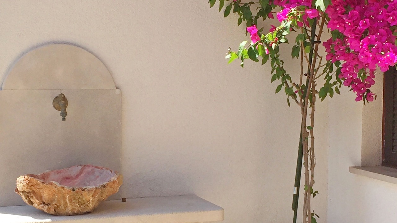 Photo of Outdoor in Island Hvar