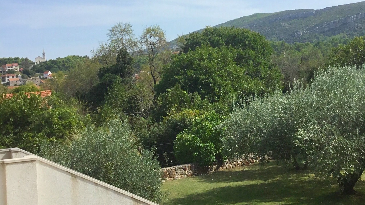 Photo of Others in Island Hvar