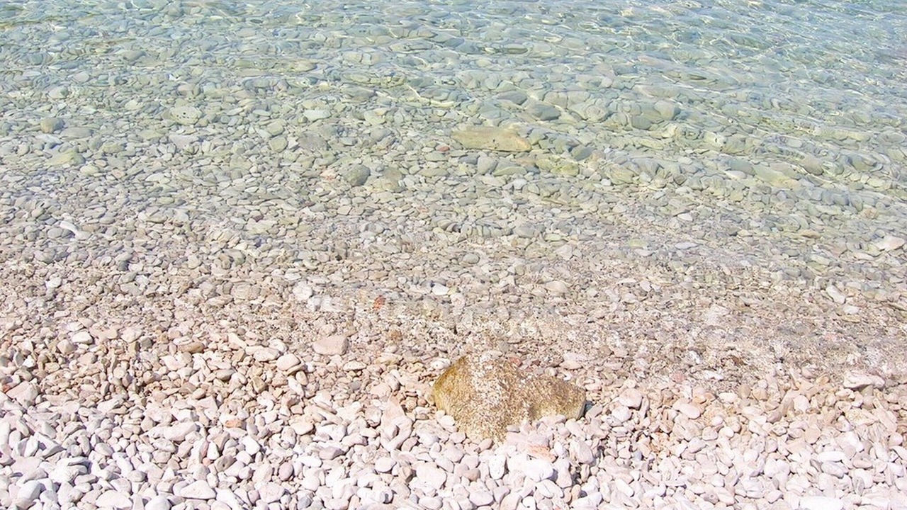 Photo of Others in Jelsa