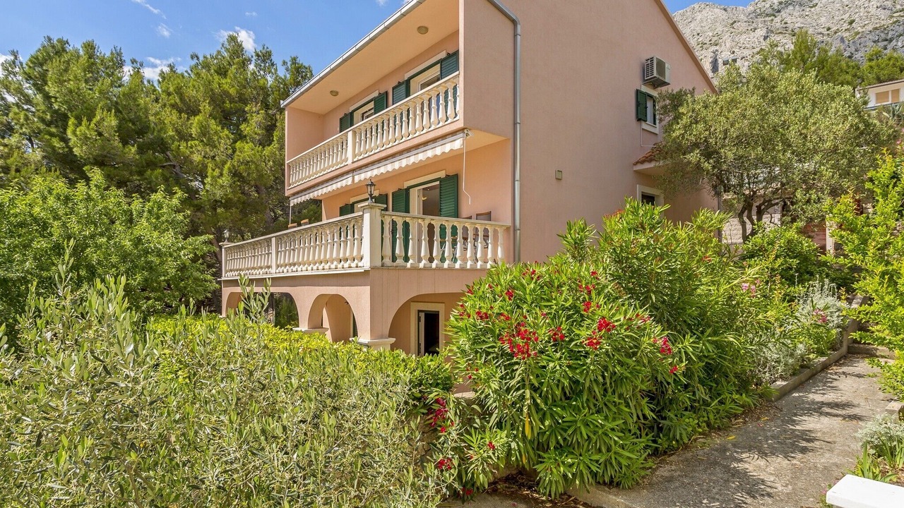 Photo of Outdoor in Medici