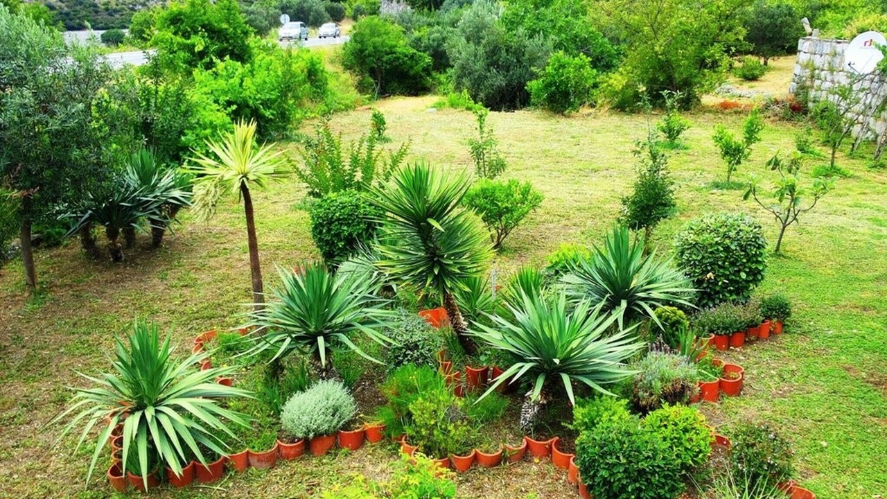 Photo of Outdoor in Brsecine