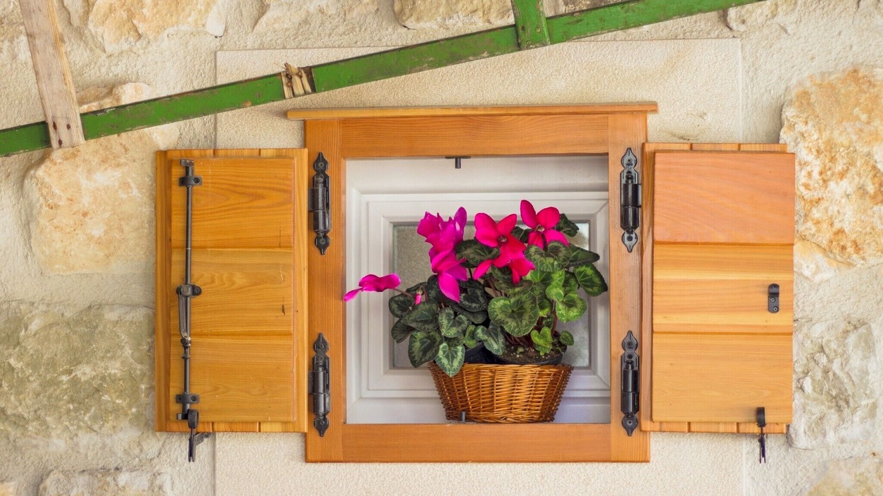 Photo of Outdoor in Vinisce