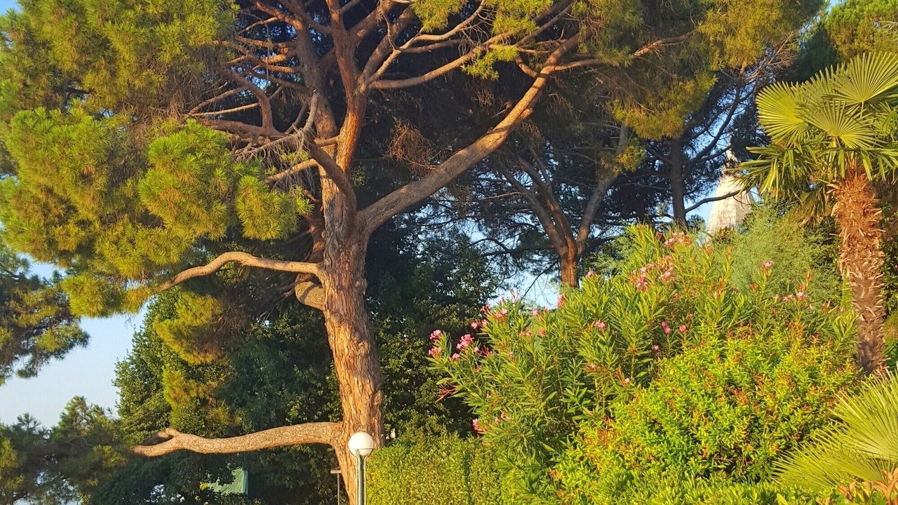 Photo of Outdoor in Pobri