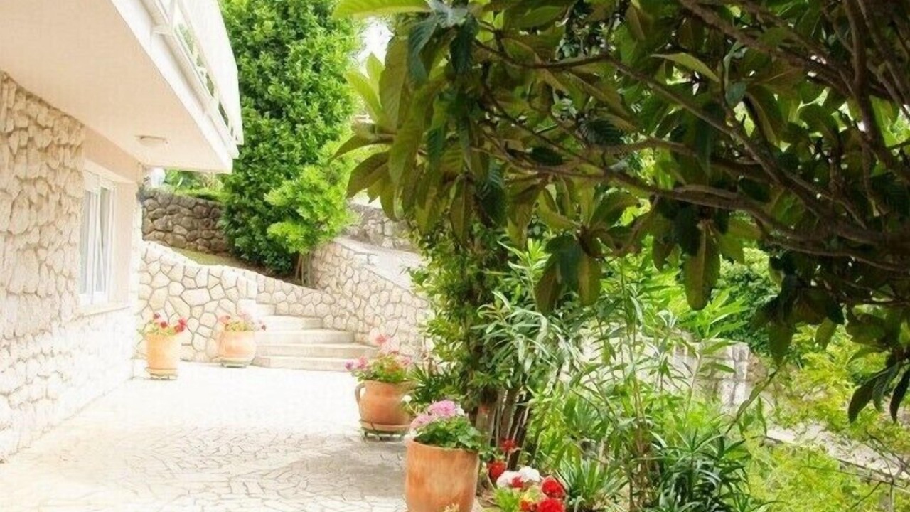 Photo of Outdoor in Selce