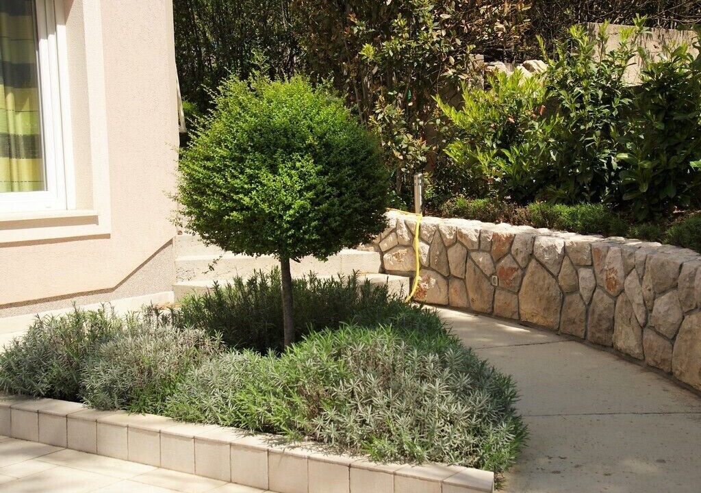 Photo of Outdoor in Selce
