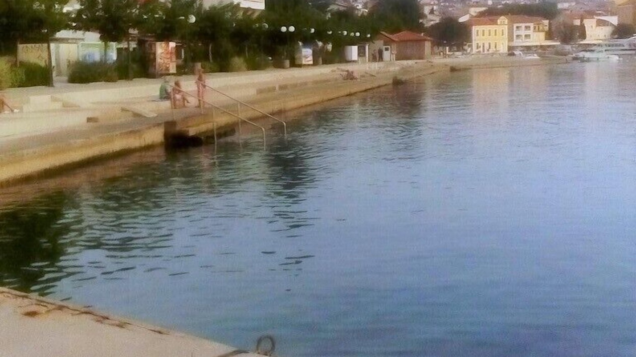 Photo of Others in Selce