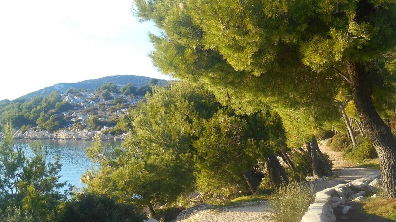 Photo of Outdoor in Tribunj