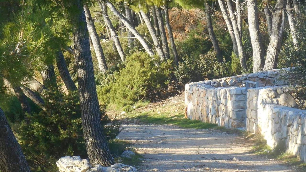 Photo of Outdoor in Tribunj