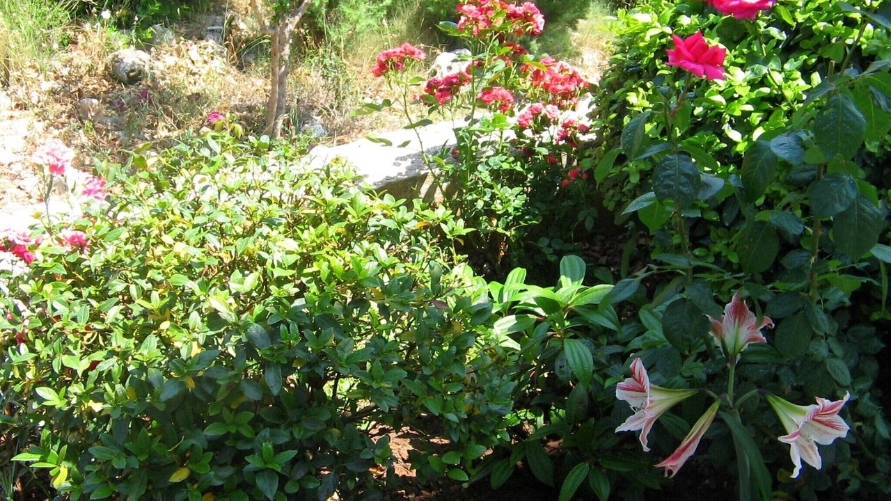 Photo of Outdoor in Vinisce