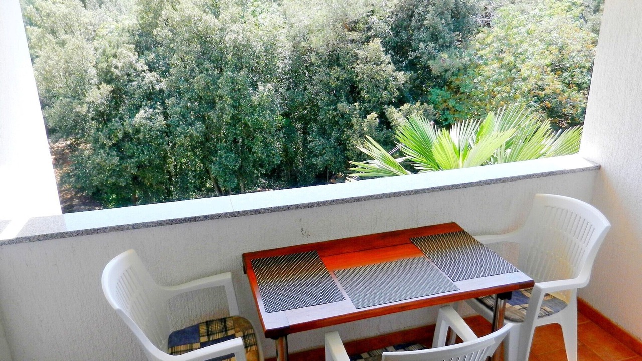 Photo of Outdoor in Borik