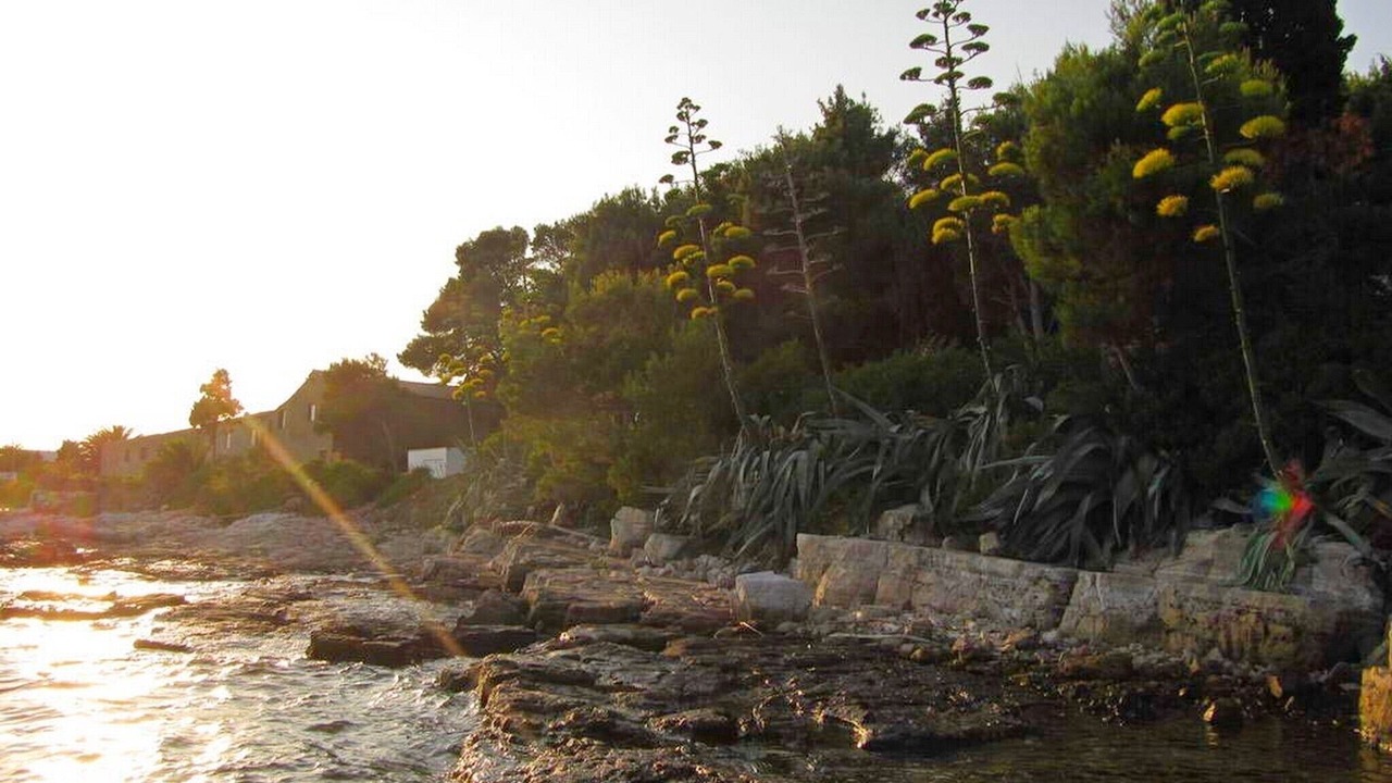 Photo of Outdoor in Sucuraj