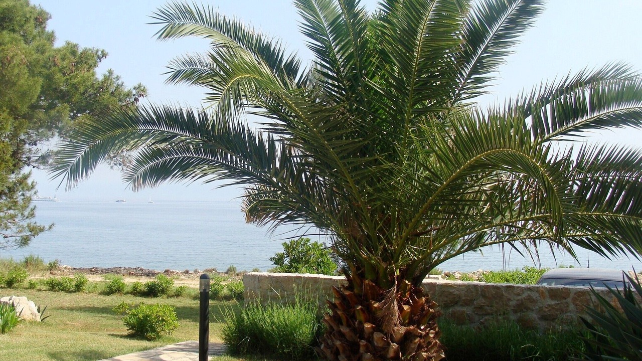 Photo of Outdoor in Ugljan