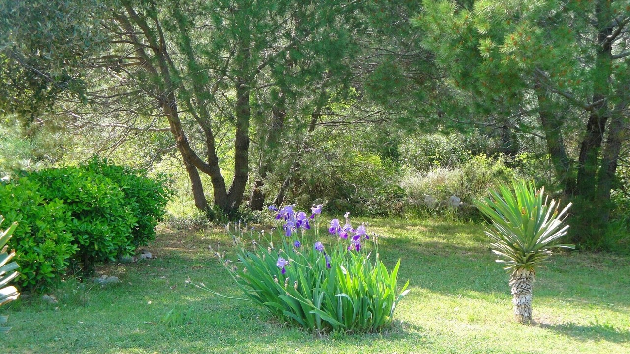 Photo of Outdoor in Ugljan