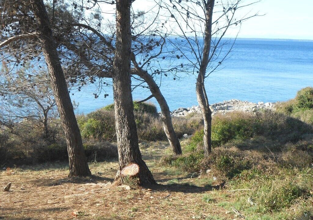 Photo of Outdoor in Cove Murtar