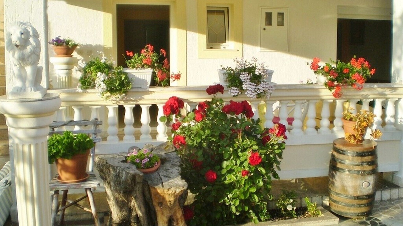 Photo of Outdoor in Kampor