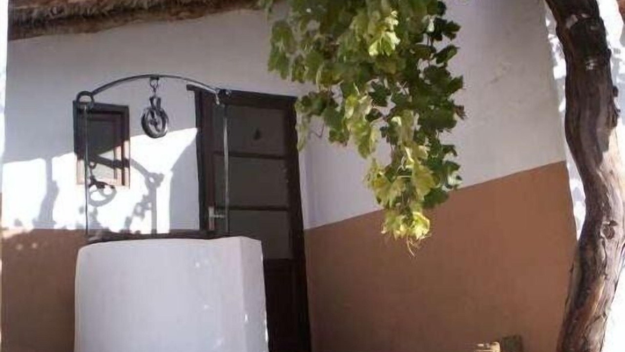 Photo of Outdoor in El Picazo