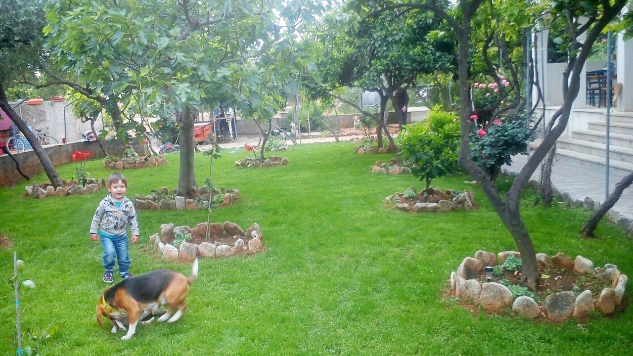Photo of Outdoor in Sucuraj
